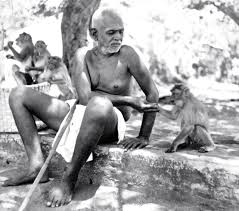 Animal devotees